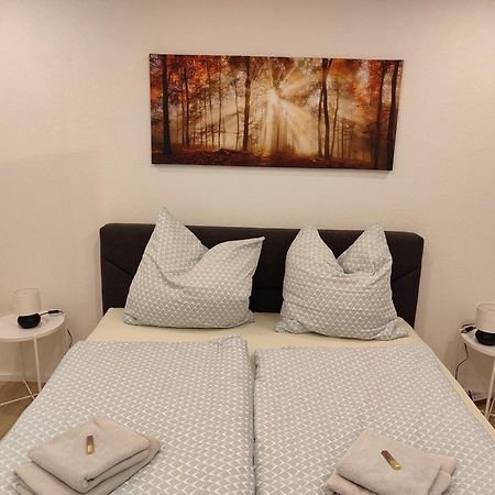 Apartment Rina Villingen-Schwenningen Bagian luar foto